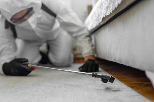 Professional Termite Control technician working in Seymour, TX