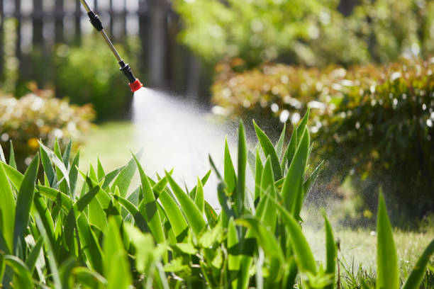 24/7 Emergency Termite Control experts in Seymour, TX